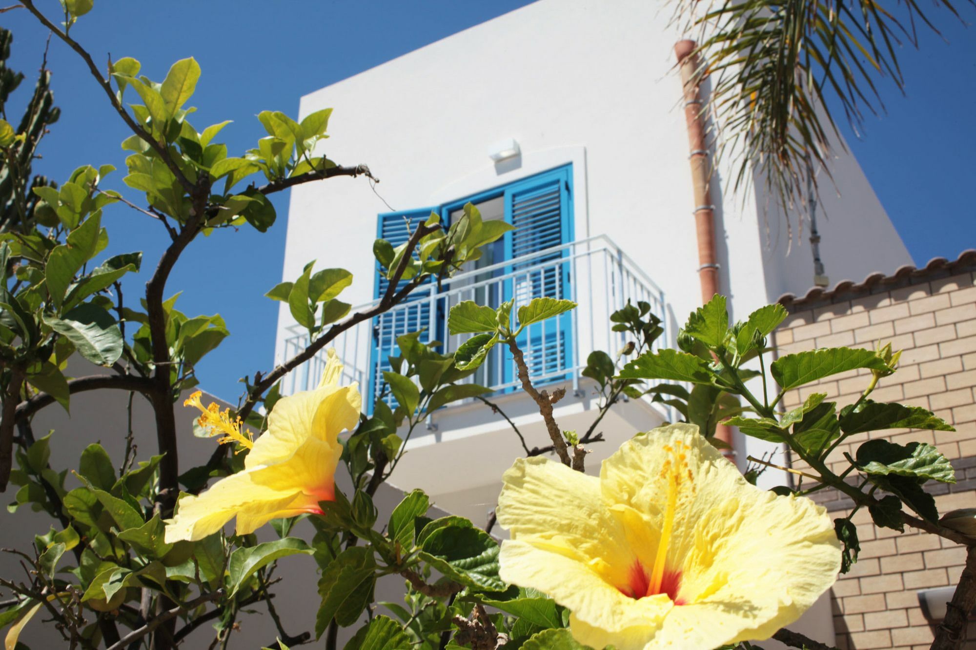 Rivazzurra Design Rooms San Vito Lo Capo Exterior photo